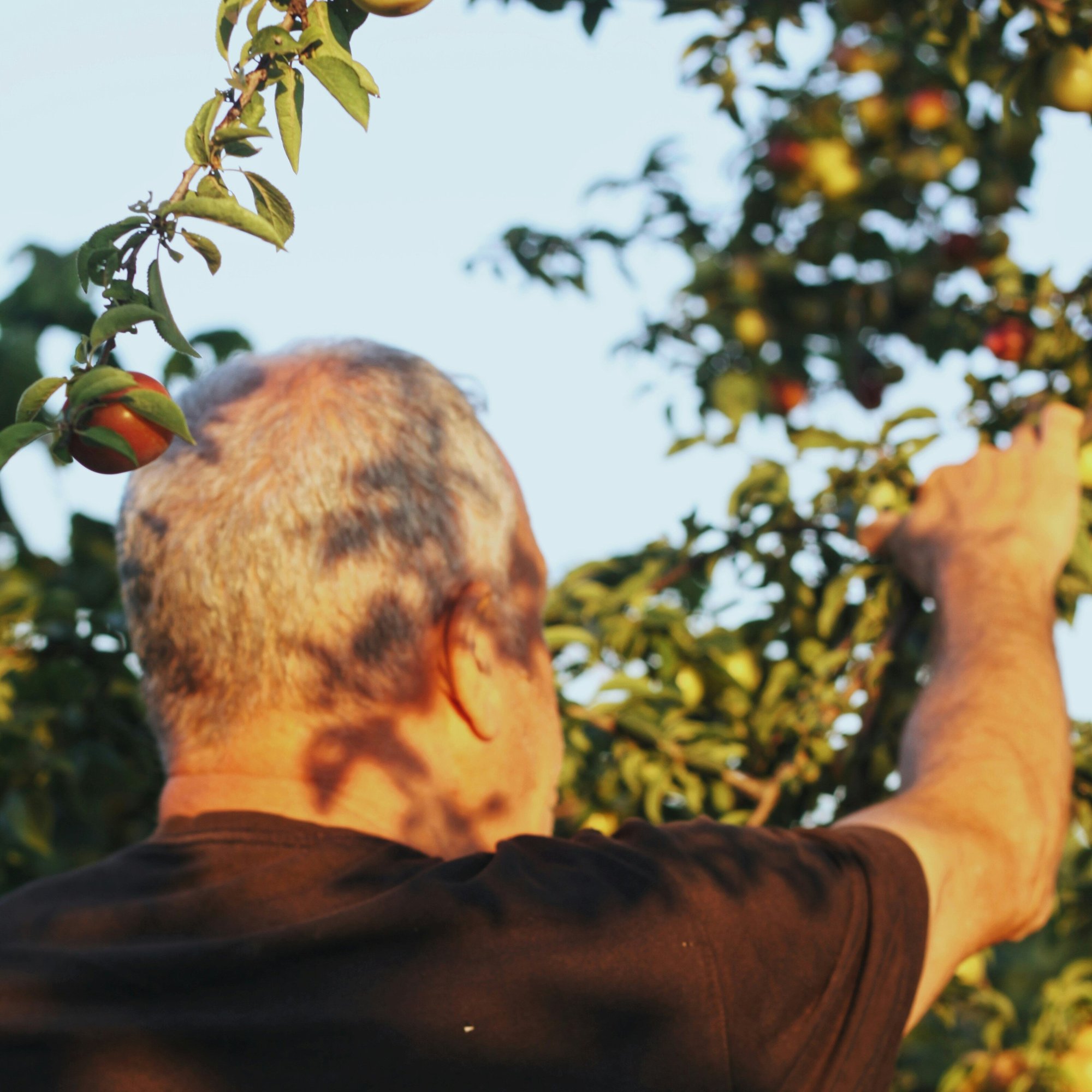 zeynep-sumer-PzGBcgfMgm4-unsplash_crop