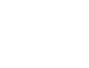 ECI_Logo White