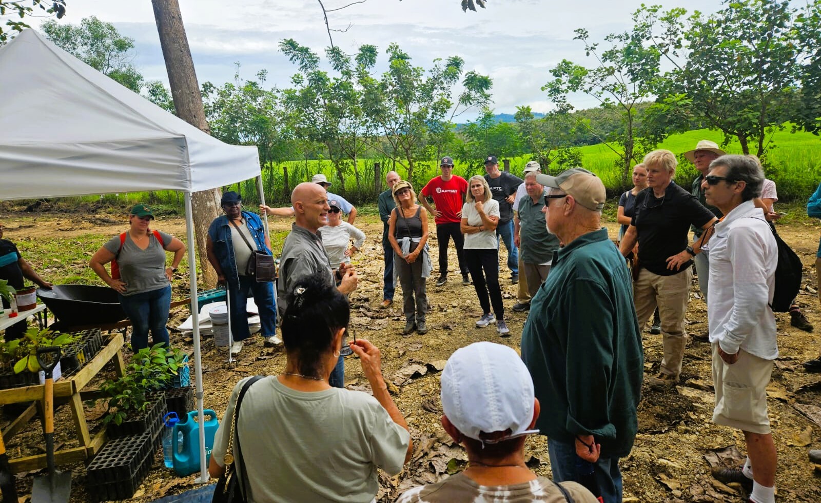 Panama DT january 2026 photos for landing page (2)