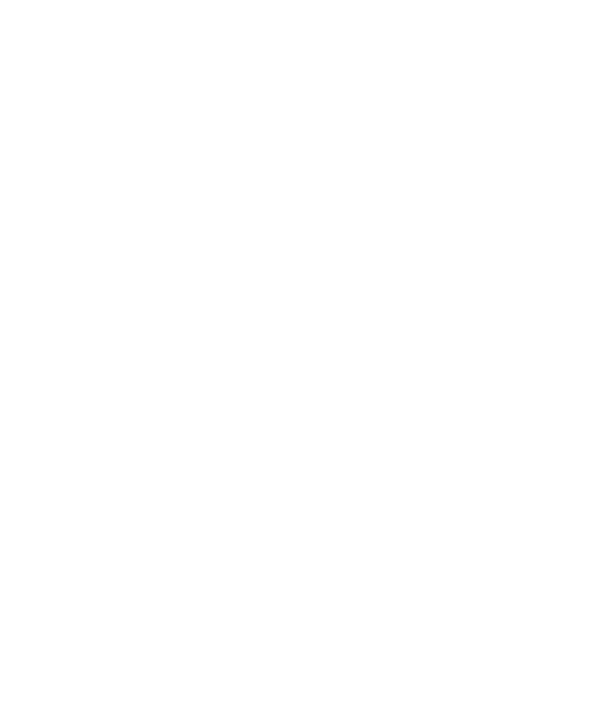 TES Village Belize Logo - White - CURRENT