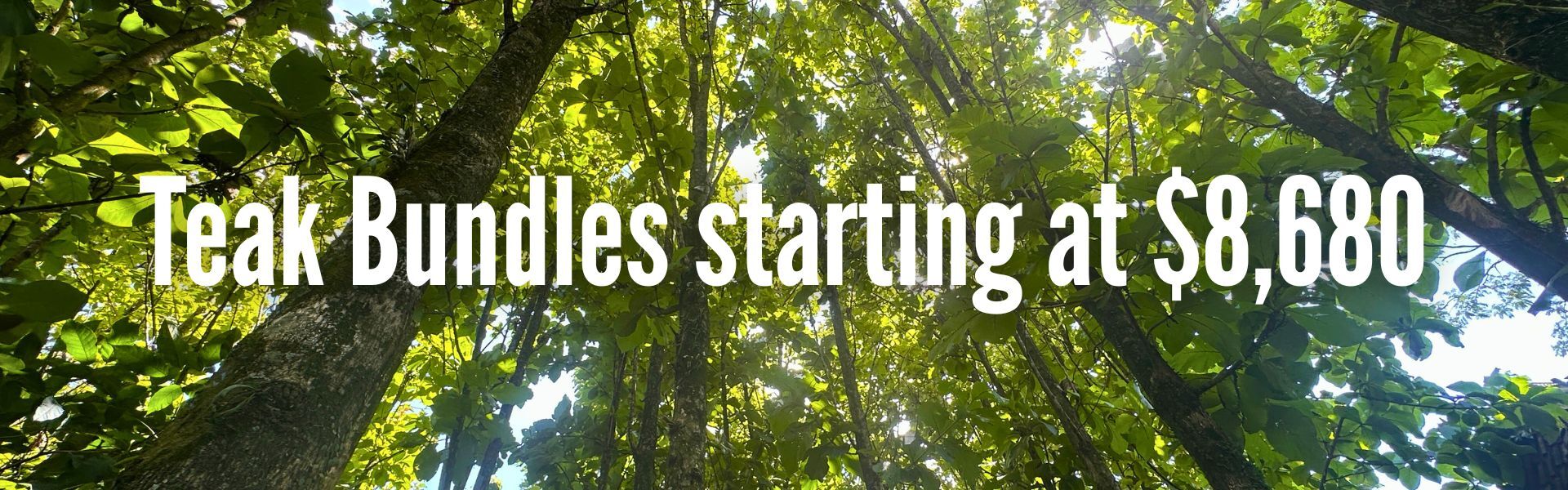 Teak Bundles Starting From $8,680 Teak Bundles Starting From $8,680