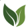 leaf-icon
